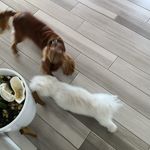 David Bromfield - @jilndav2 - Instagram