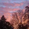 Dave Bromilow - @dave.bromilow - TikTok