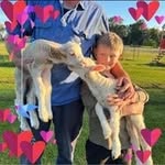 David Marshall - @davidmarshallbronte - Instagram