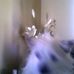 David Brookfield - Facebook