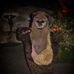 David Brookfield - Facebook