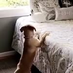 David & Brooklyn - @daveandbk - Instagram