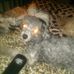 David Brotchner - Facebook