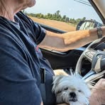 David Brough - Facebook