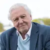 real.DavidAttenbrough1 - @real.davidattenbrough1 - TikTok