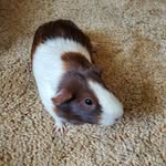 David Brubaker - @davidaugbrubaker - Instagram
