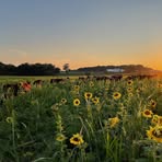 David Brubaker - Facebook