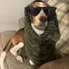David Bruce - @david._.bruce - TikTok