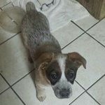 David Bruder - @bruderdavid - Instagram