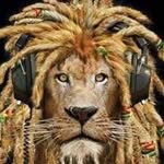 David Brûlé - @bruledavid72 - Instagram