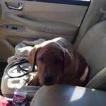 David Brumbaugh - @david.brumbaugh - Instagram