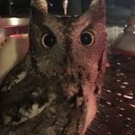 David Brumley - @david_brumley - Instagram