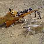 David - @brumley_david - Instagram