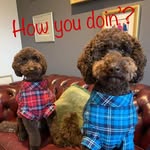 David J Brumm - @davidjbrumm - Instagram