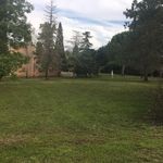 David Brunel - @david.brunel.9212 - Instagram