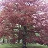 David Brunken - @david.brunken - TikTok