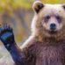 David Brunier - Facebook