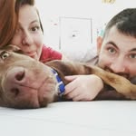 David Bruschi - @dedo.iovia - Instagram