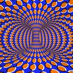 David Brusky - @davidbbrusky - Instagram
