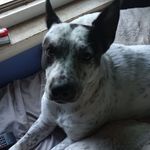David Bryner - @bryner607 - Instagram