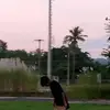 David Brys - @david.brys - TikTok
