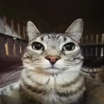 David Brzozowski - @brzoza_181 - Instagram