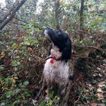 David Bubb - @david.bubb.1800 - Instagram