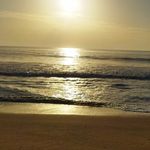 David Bubblu - @davidbubblu - Instagram