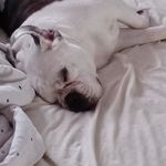 David Bubel - @david_bubel - Instagram