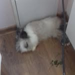 David Bubeníček - @david_bubenicek_ - Instagram