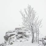 David Bubeník - @bubenikdavid - Instagram
