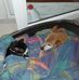 David Buchbinder - Facebook