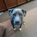 David Butcher - Facebook