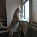 David Buchtel - Facebook