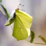 David Buchwalter - @david_buchwalter_photographie - Instagram