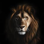 David Bucklow Fine Artist - @david_bucklowfineart - Instagram