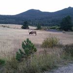 David Buckles - @buckles737 - Instagram