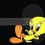 tweety Budzyński - @david.budzynski.1 - Instagram