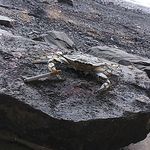 David Bundy - @duck_commander420 - Instagram
