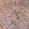 David Buratti175 - @david123344566898 - TikTok