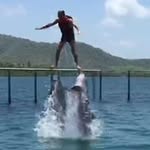 David Burchett - @david.burchett1 - Instagram