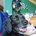 David Burgett - Facebook