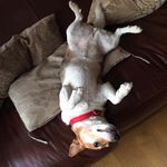 David Burnell - @david.burnell.963 - Instagram