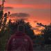 David Büscher - Facebook