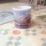 david bushnell - @bushnell2013 - Instagram