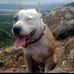 David Buss - Facebook