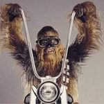 David Bussell - @davidbussell73 - Instagram