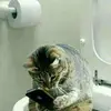 David Buxton - @davidbuxton062 - TikTok