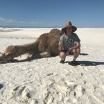David Bye - @david__bye - Instagram
