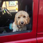 David cable - @cable4370 - Instagram